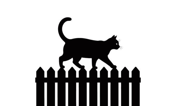 Black Cat Silhouette Walking on Fence
