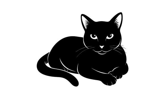 Black Cat Vector Illustration Review