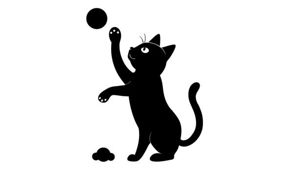 Playful Black Cat Reaching for Ball: A Designer's Review